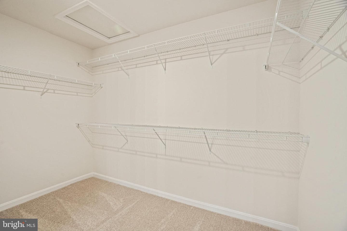 120 Catalpa Drive photo 37