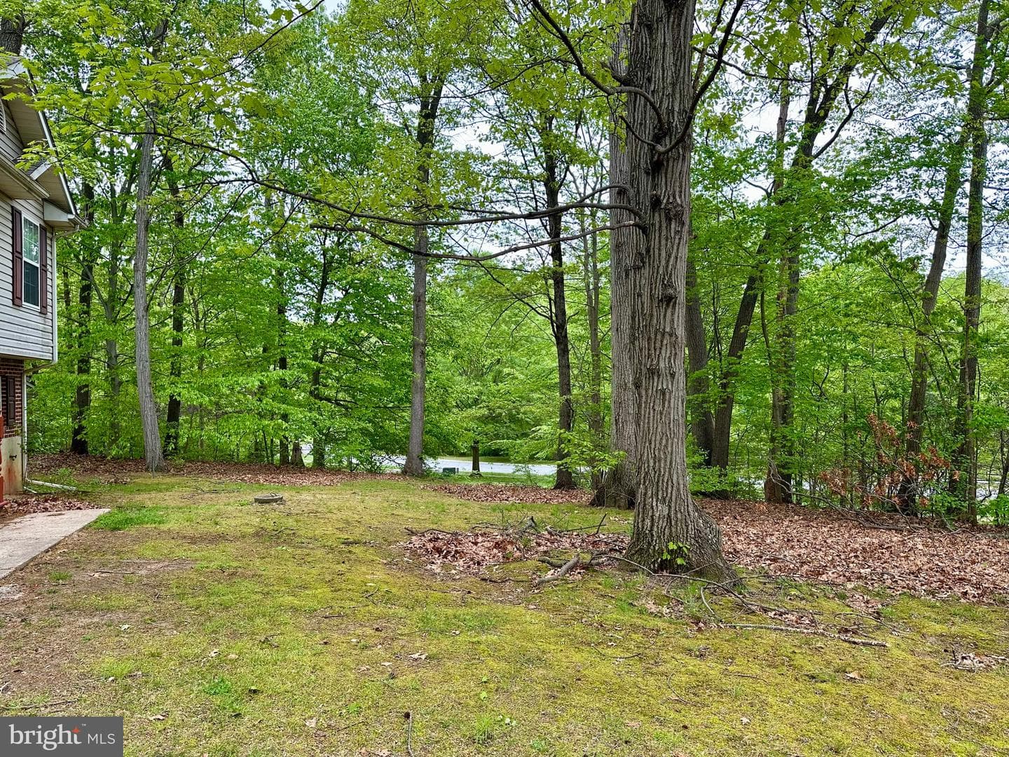 15 Barbara Lane photo 24