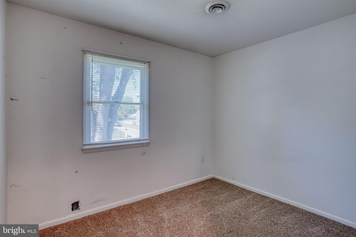 281 Sycamore Road photo 20