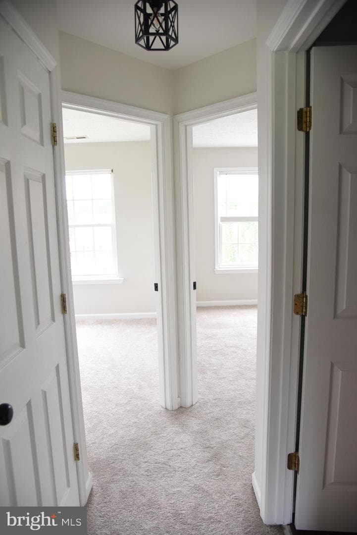 102 Maple Leaf Drive photo 26