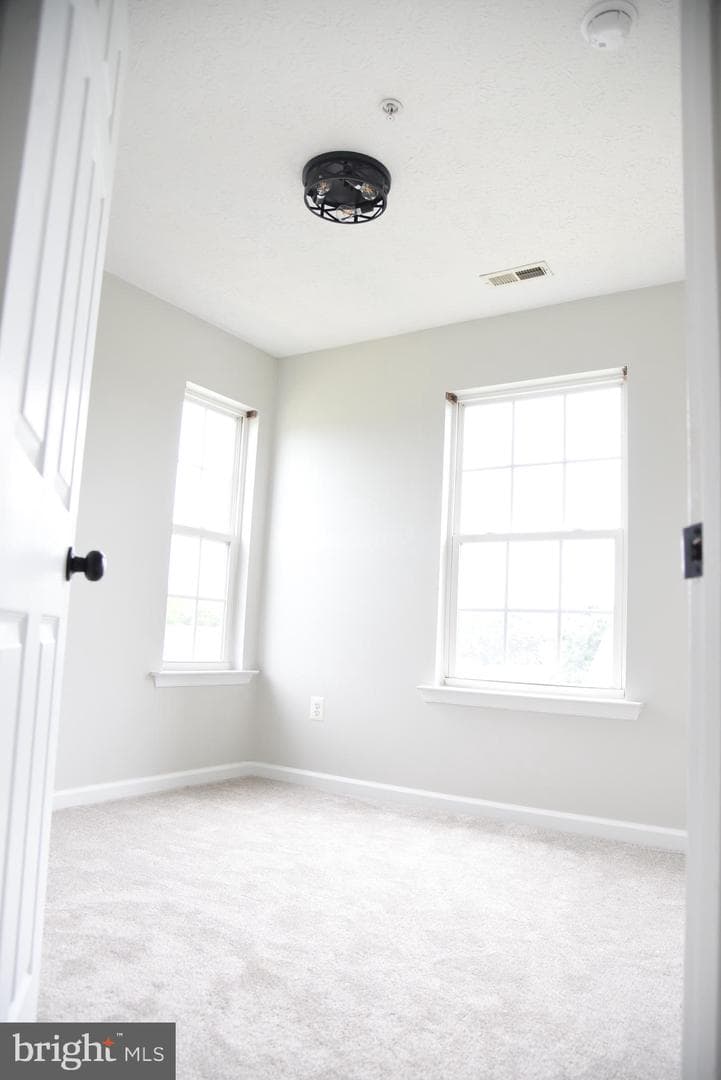 102 Maple Leaf Drive photo 29