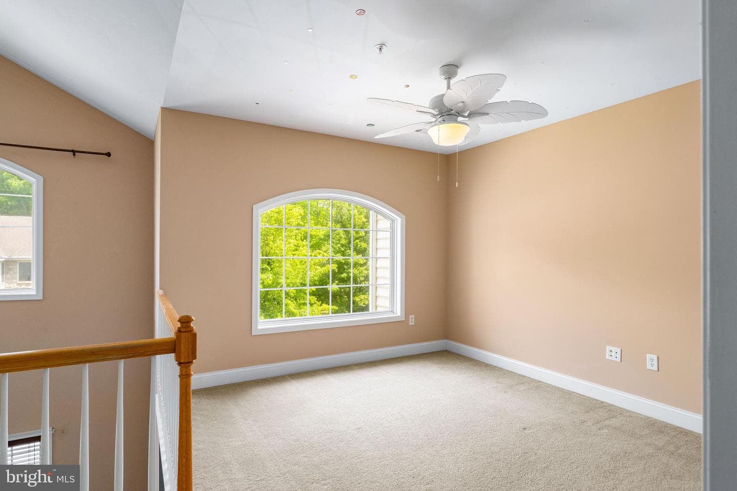 14 Guilford Court photo 23