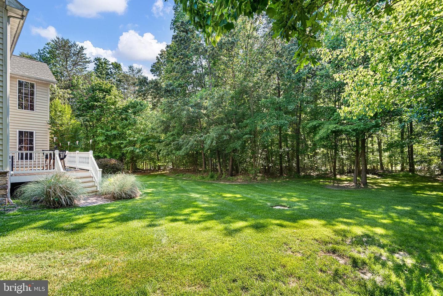 233 Woodholme Way photo 52