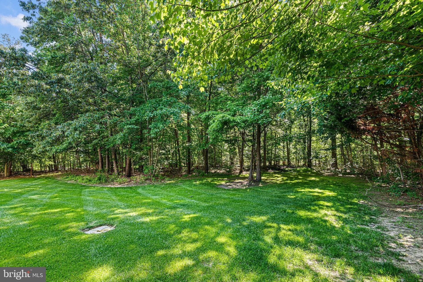 233 Woodholme Way photo 53
