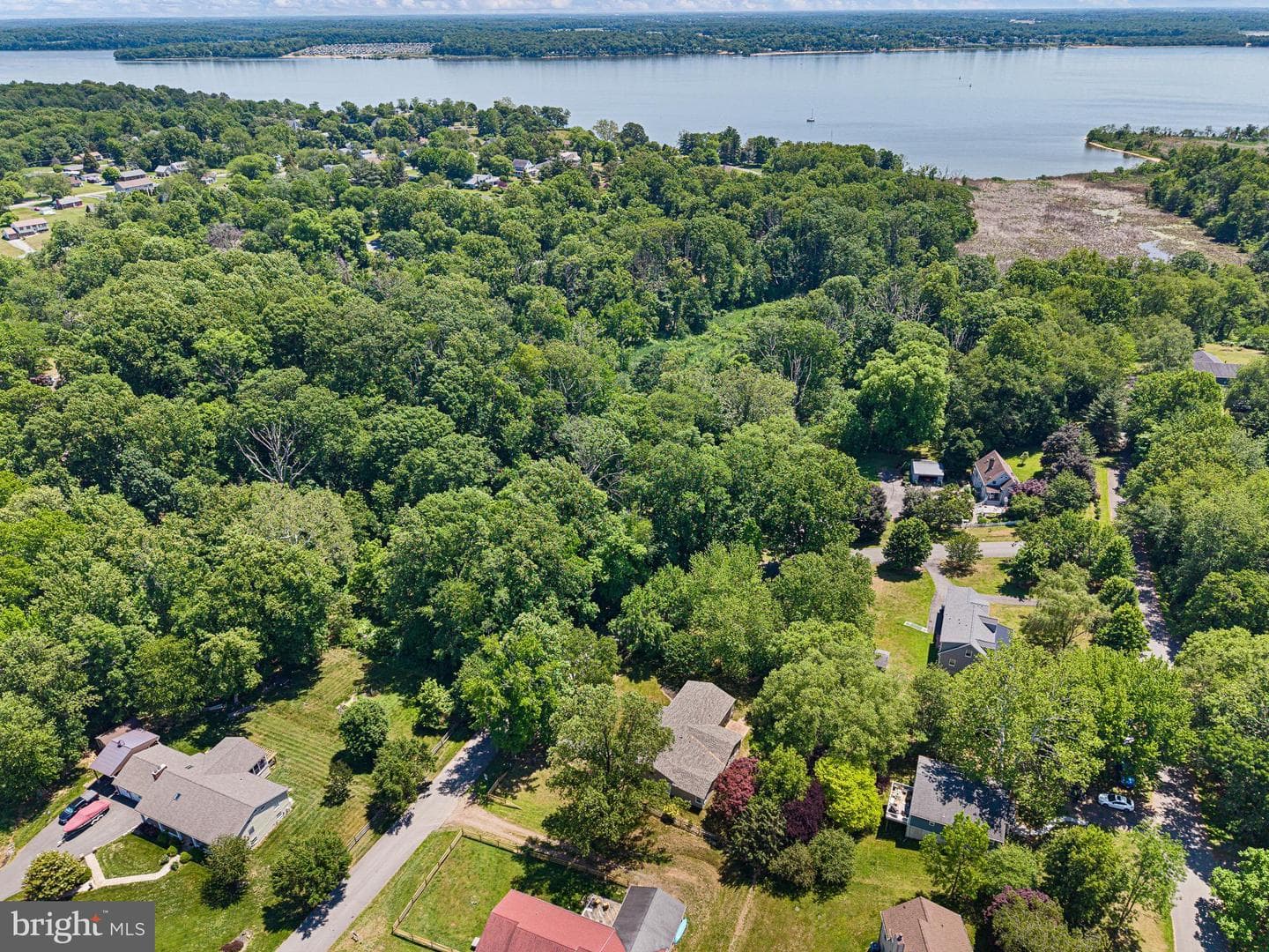 19 Pine Lane photo 44