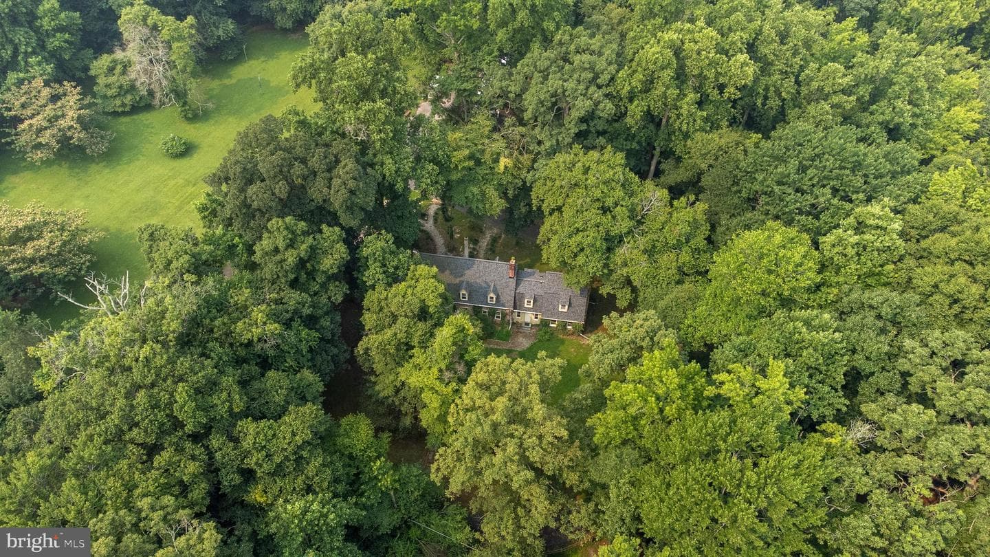 236 Blair Shore Road photo 29
