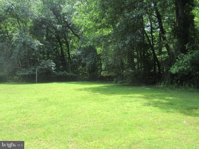 236 Blair Shore Road photo 8