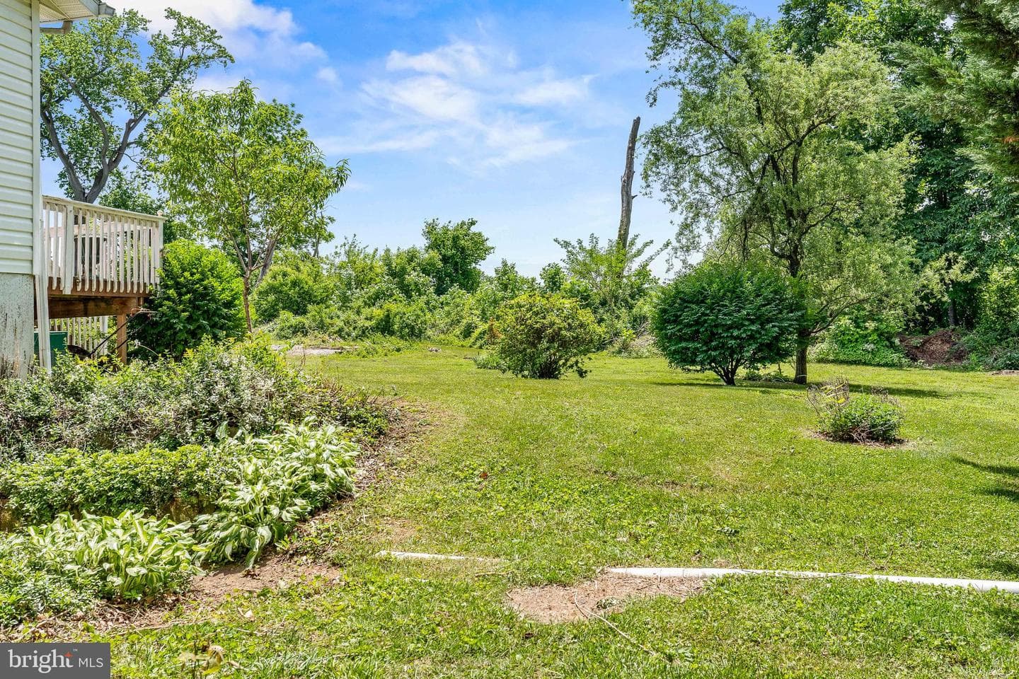 56 Woodlyn Road photo 3
