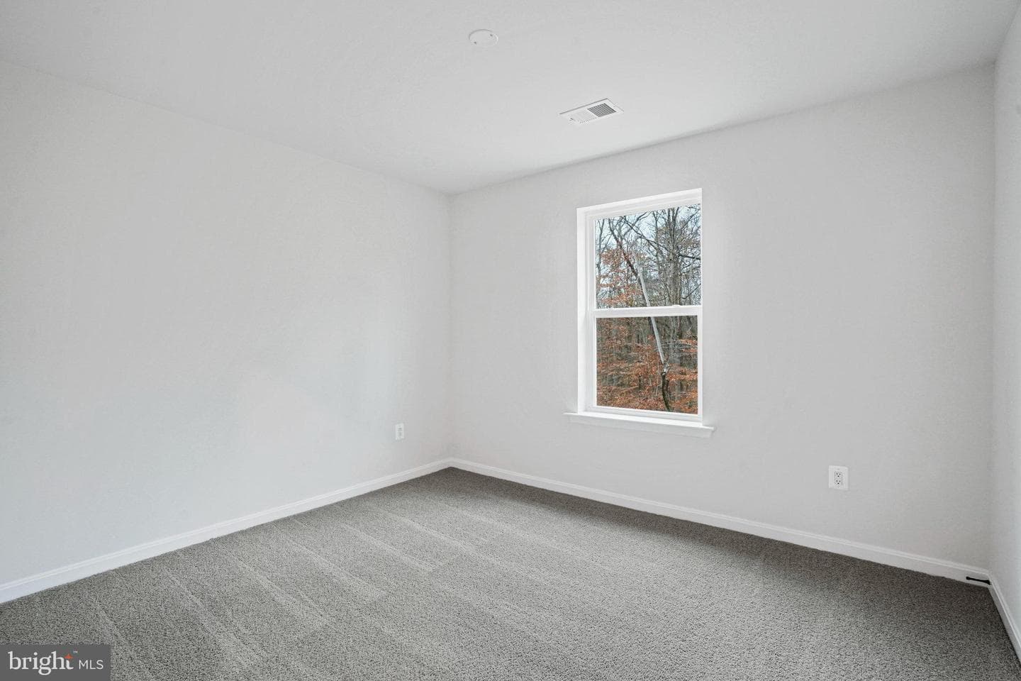 136 Catalpa Drive photo 32