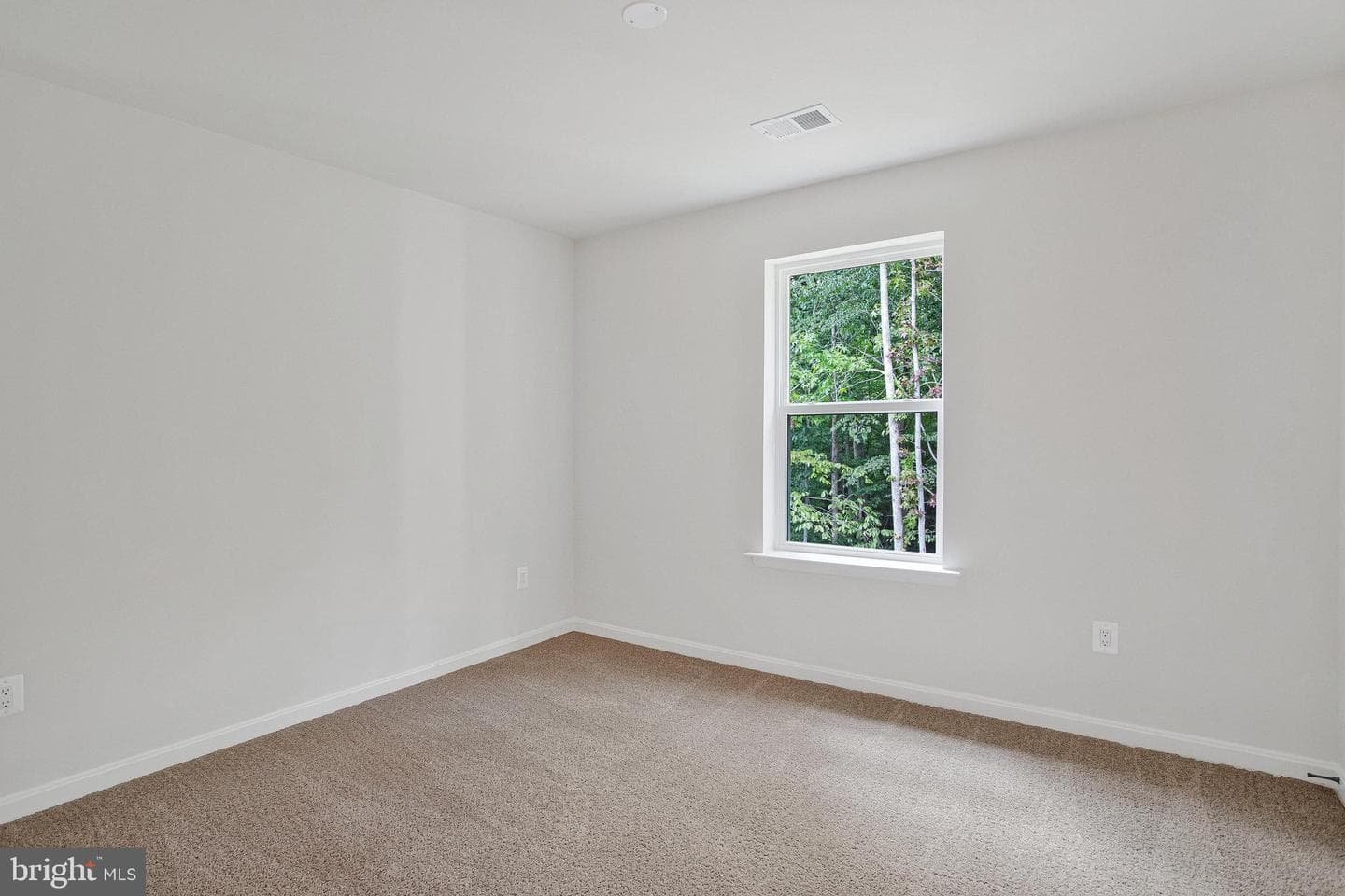 104 Catalpa Drive photo 33