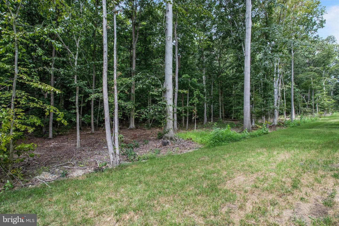 104 Catalpa Drive photo 41