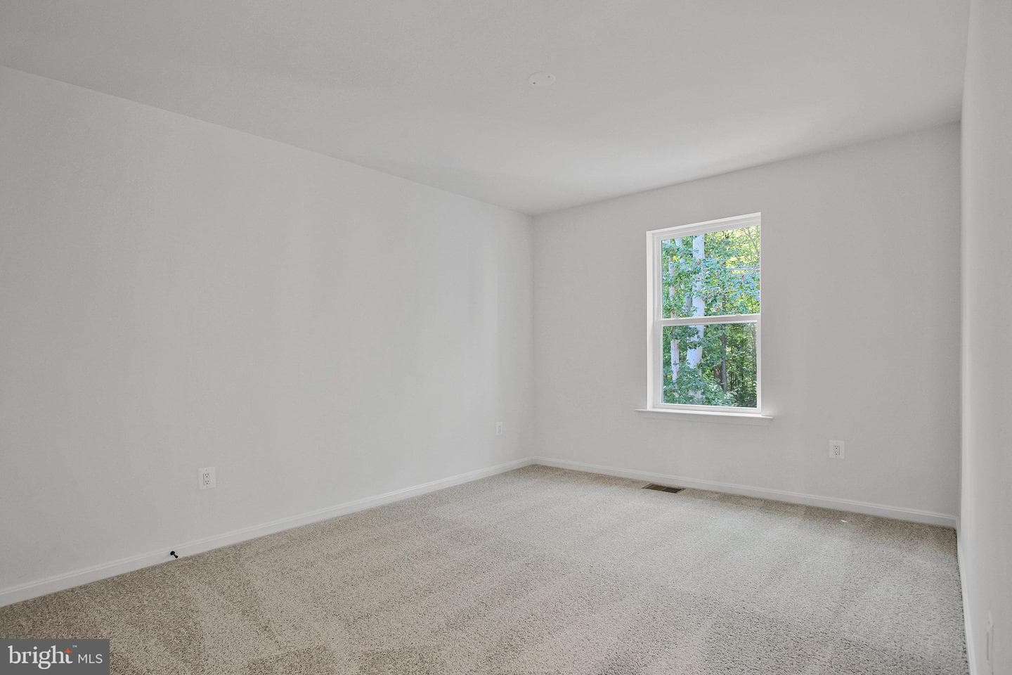 112 Catalpa Drive photo 27