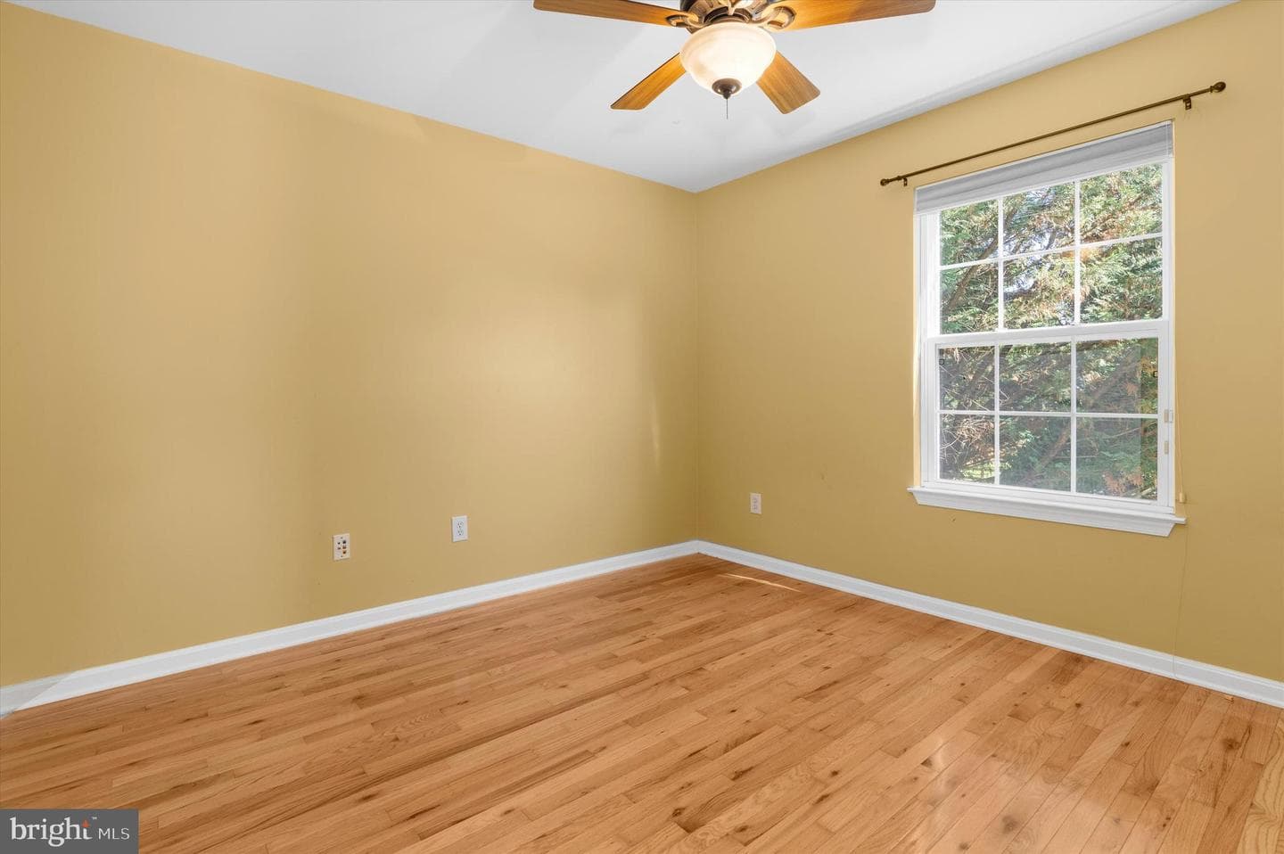 213 Ariel Avenue photo 23