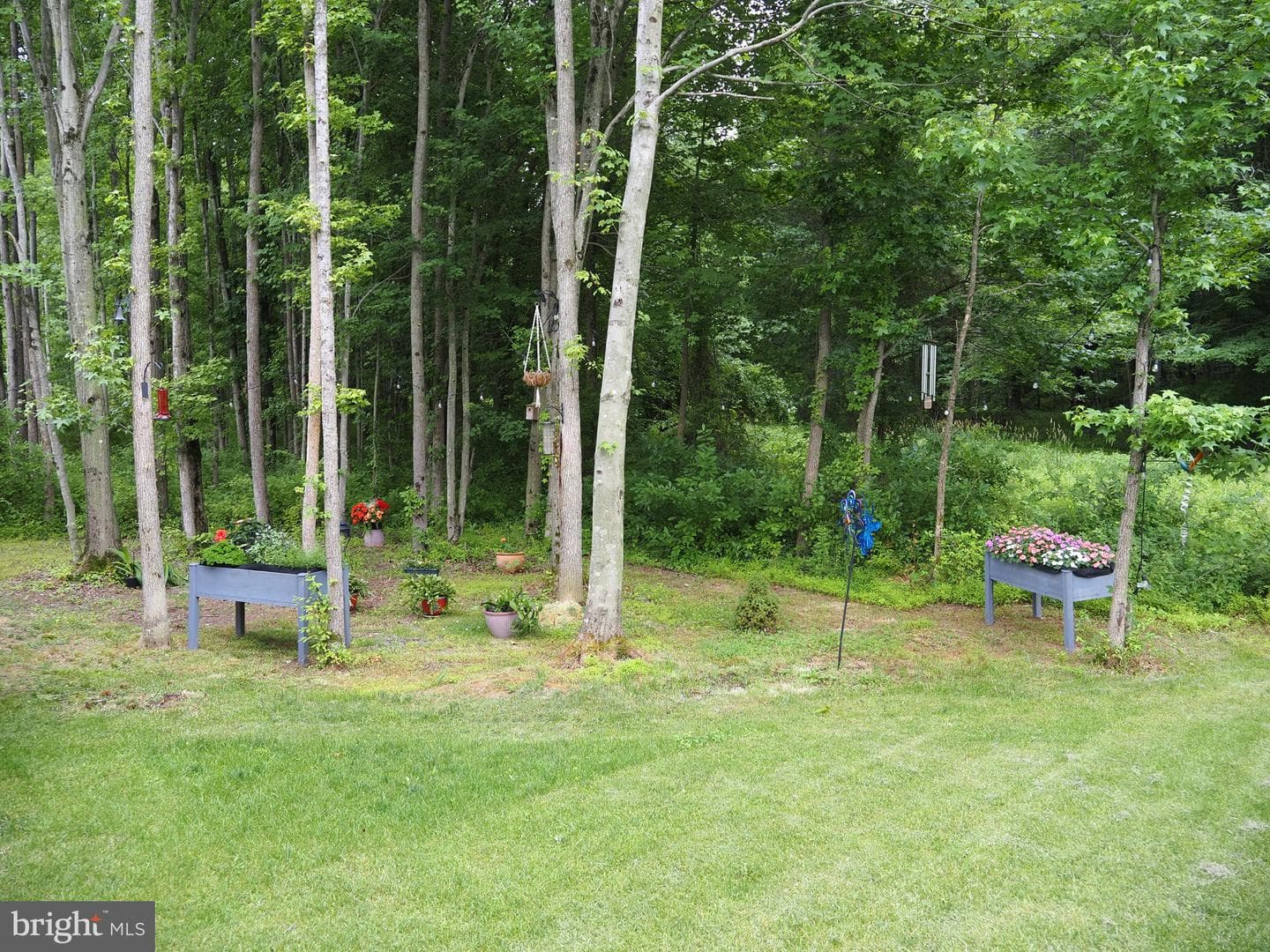 27 Buttercup Circle photo 51