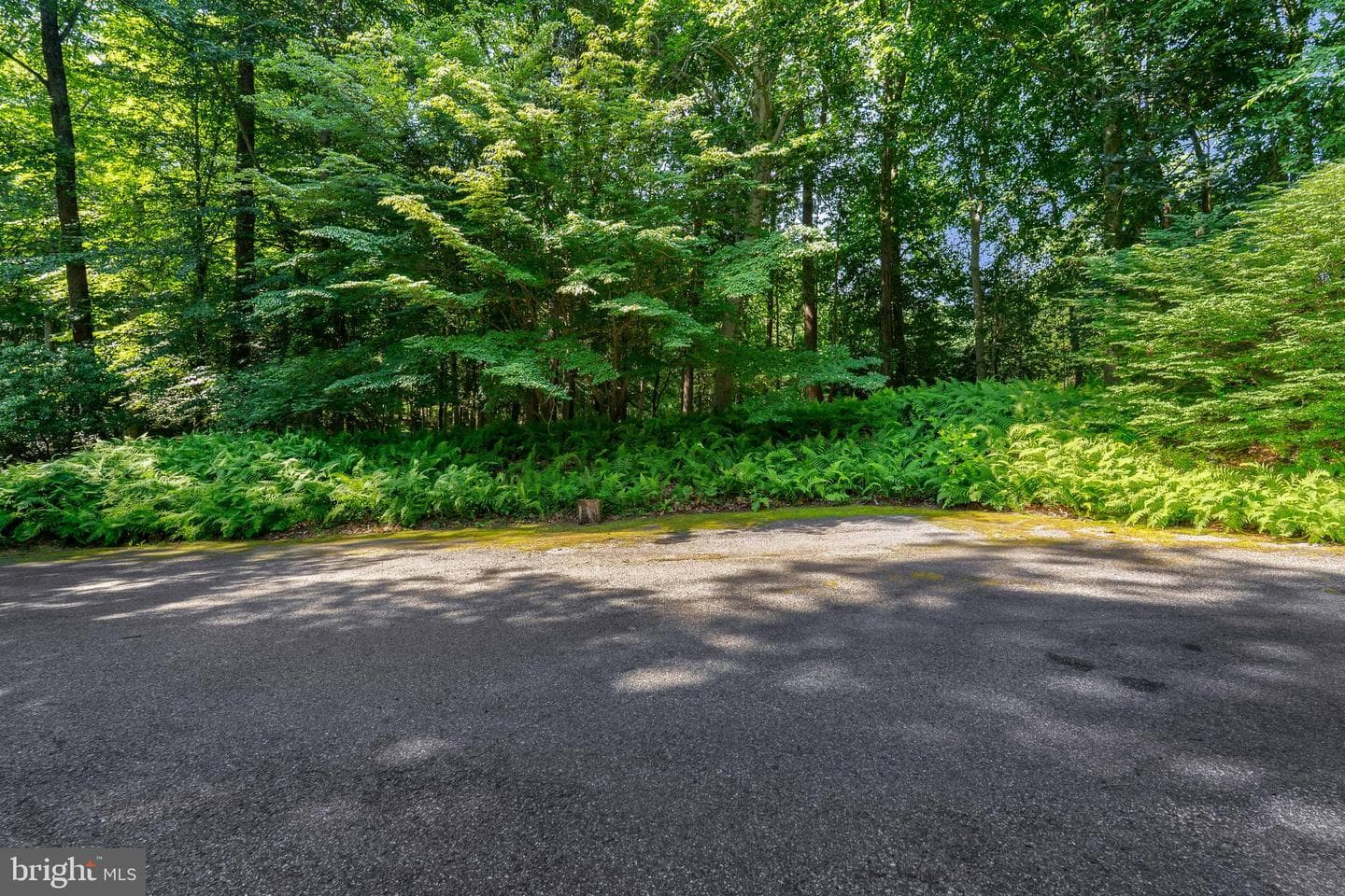 65 Calvary Road photo 51