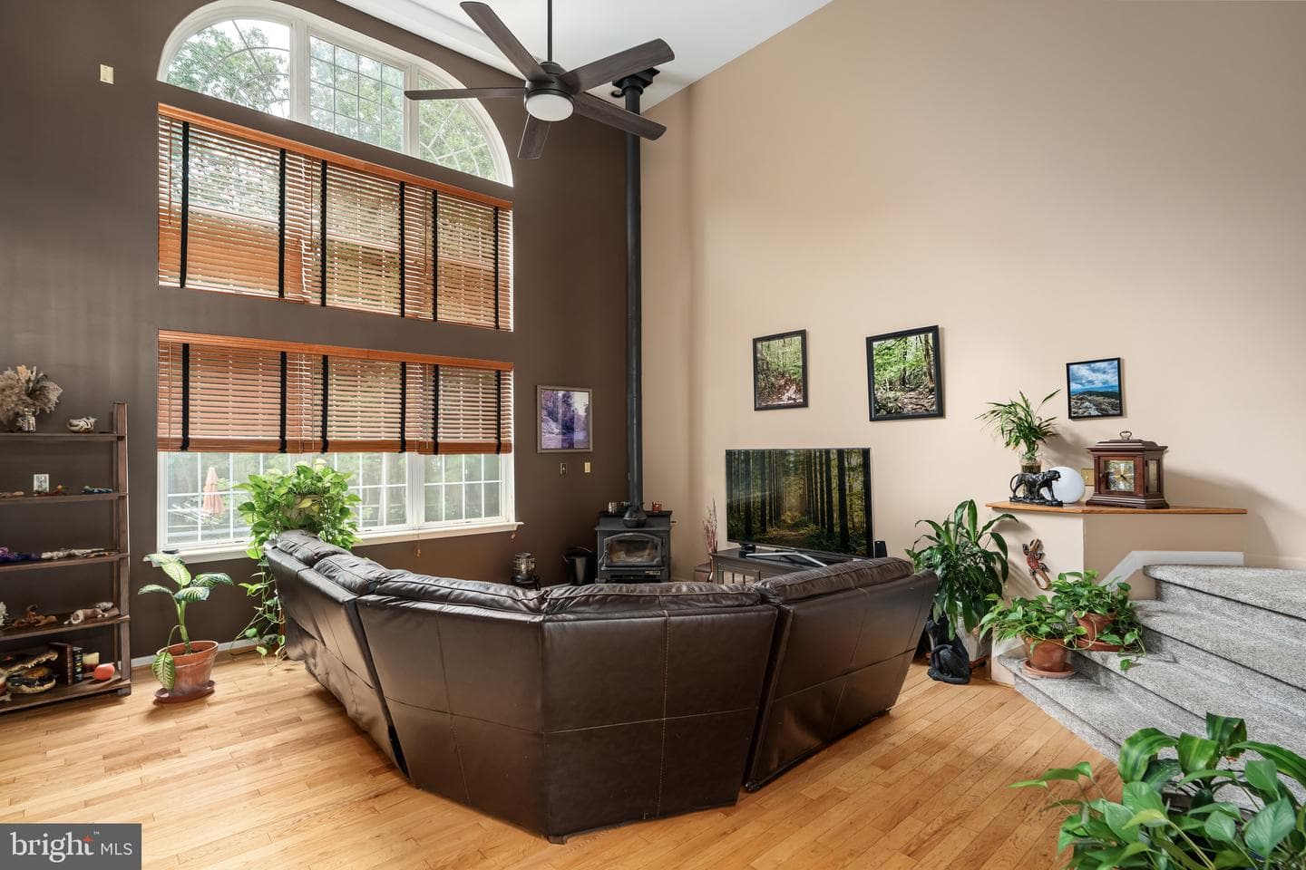 28 Watson Way photo 10
