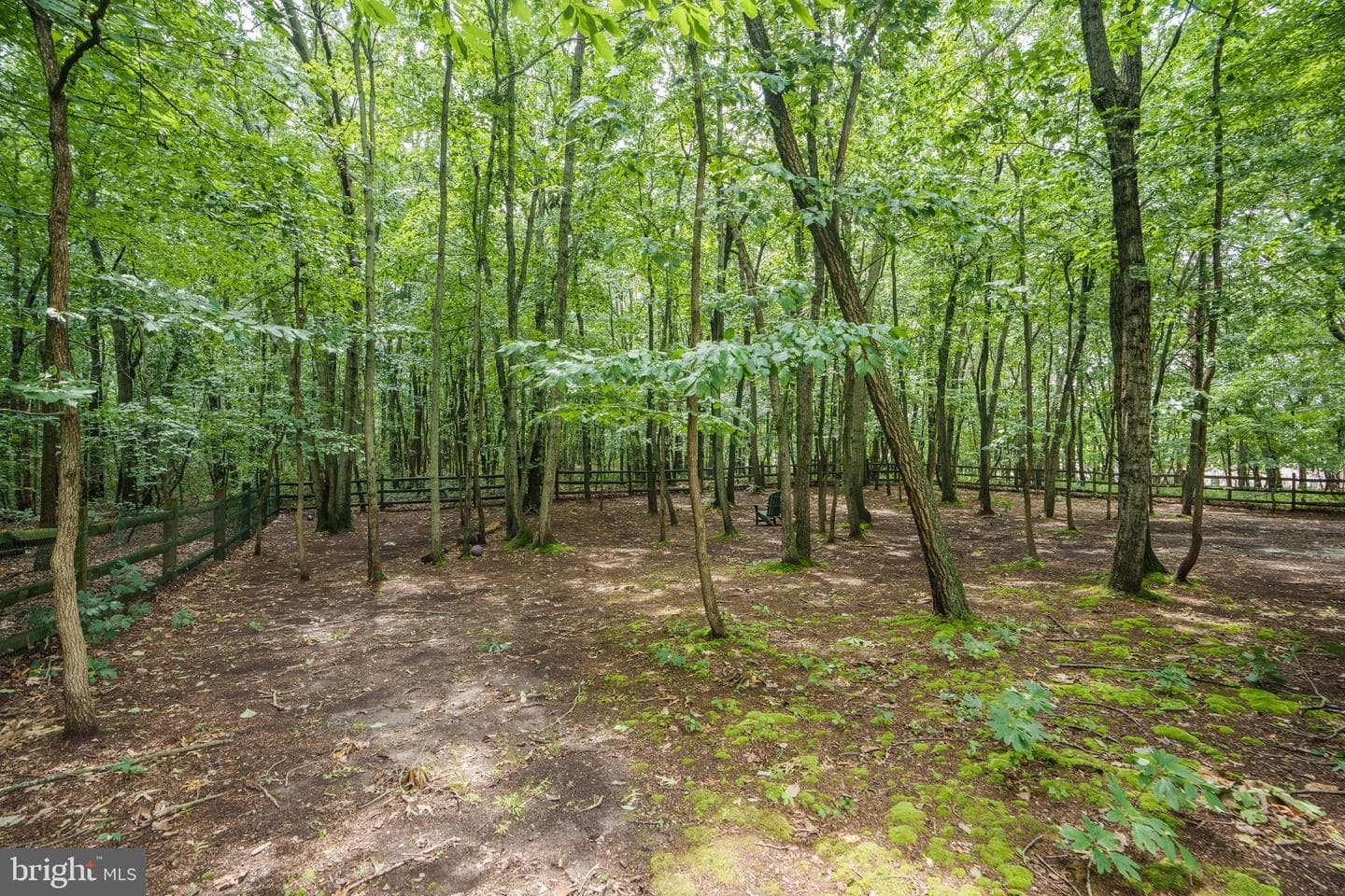 28 Watson Way photo 39