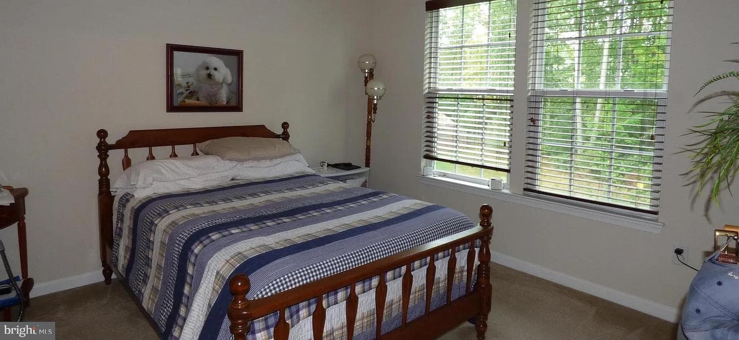 23 Magnolia Drive photo 25