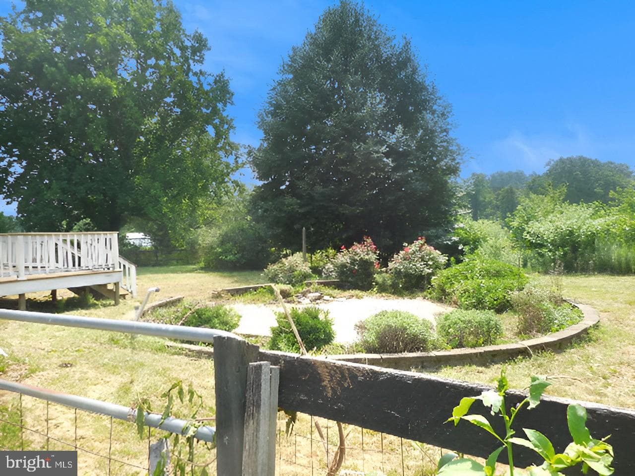 43 Frances Drive photo 7