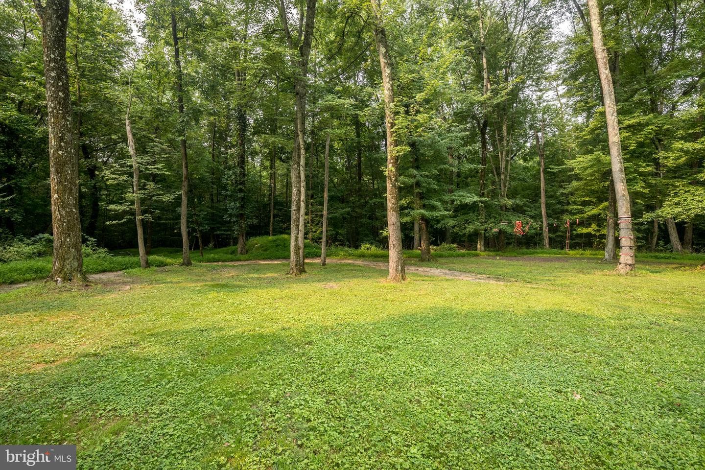 839 Red Toad Road photo 40