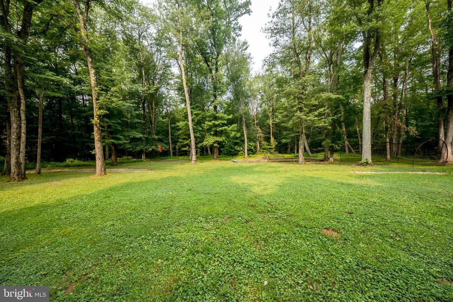 839 Red Toad Road photo 43