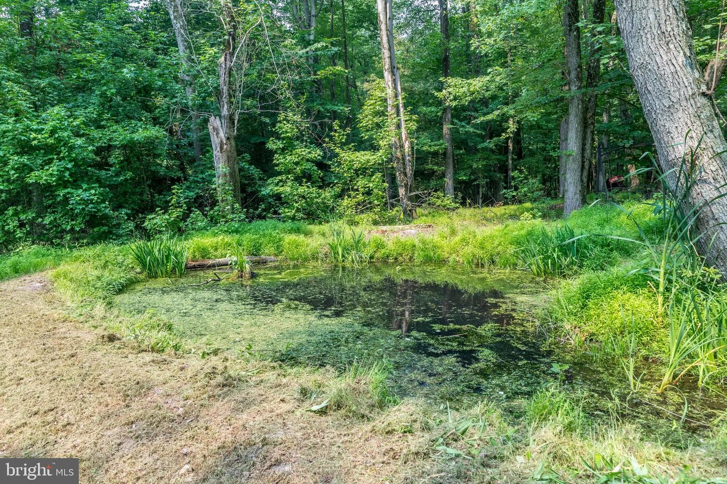 839 Red Toad Road photo 44