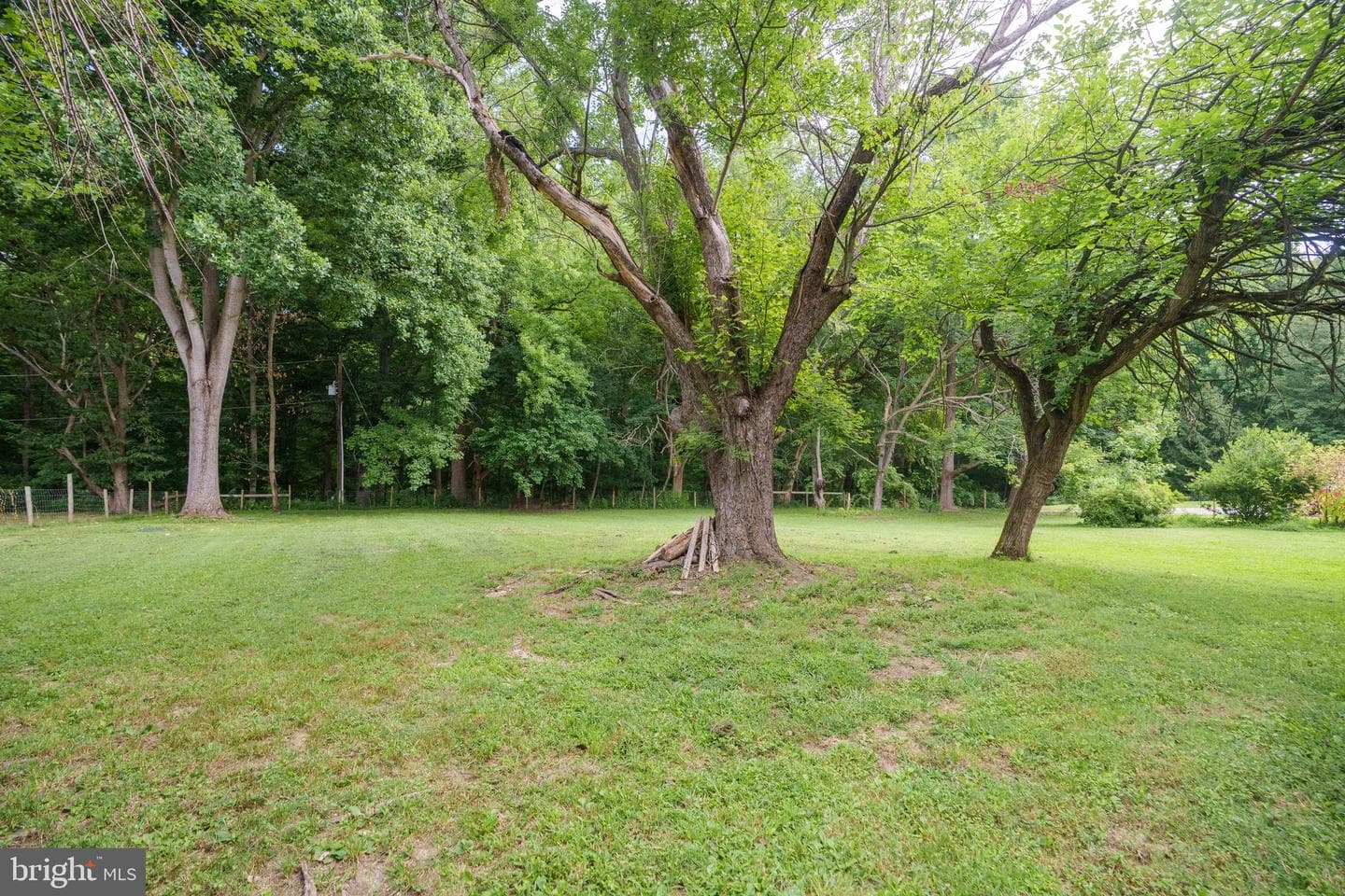 48 Hessey Lane photo 19