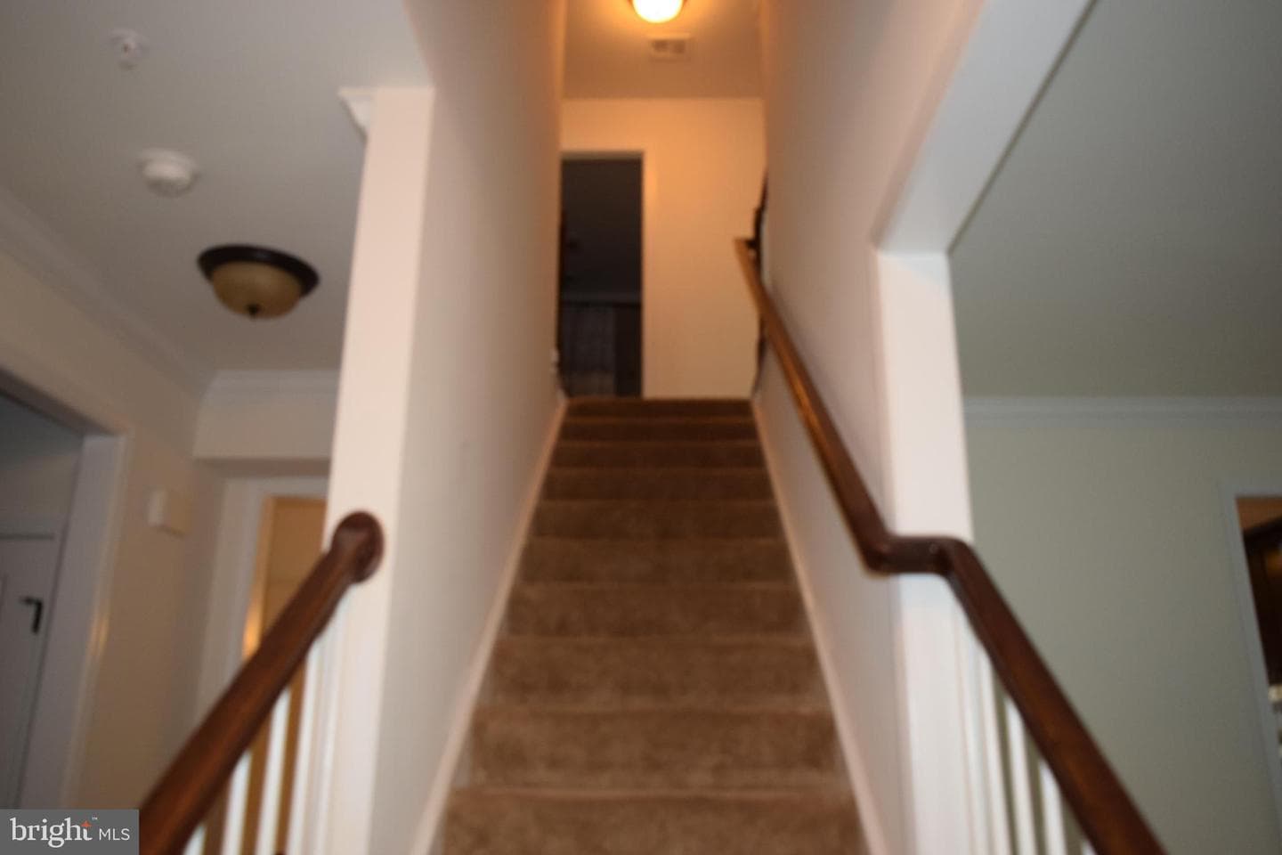 9272 Biscayne Street photo 10