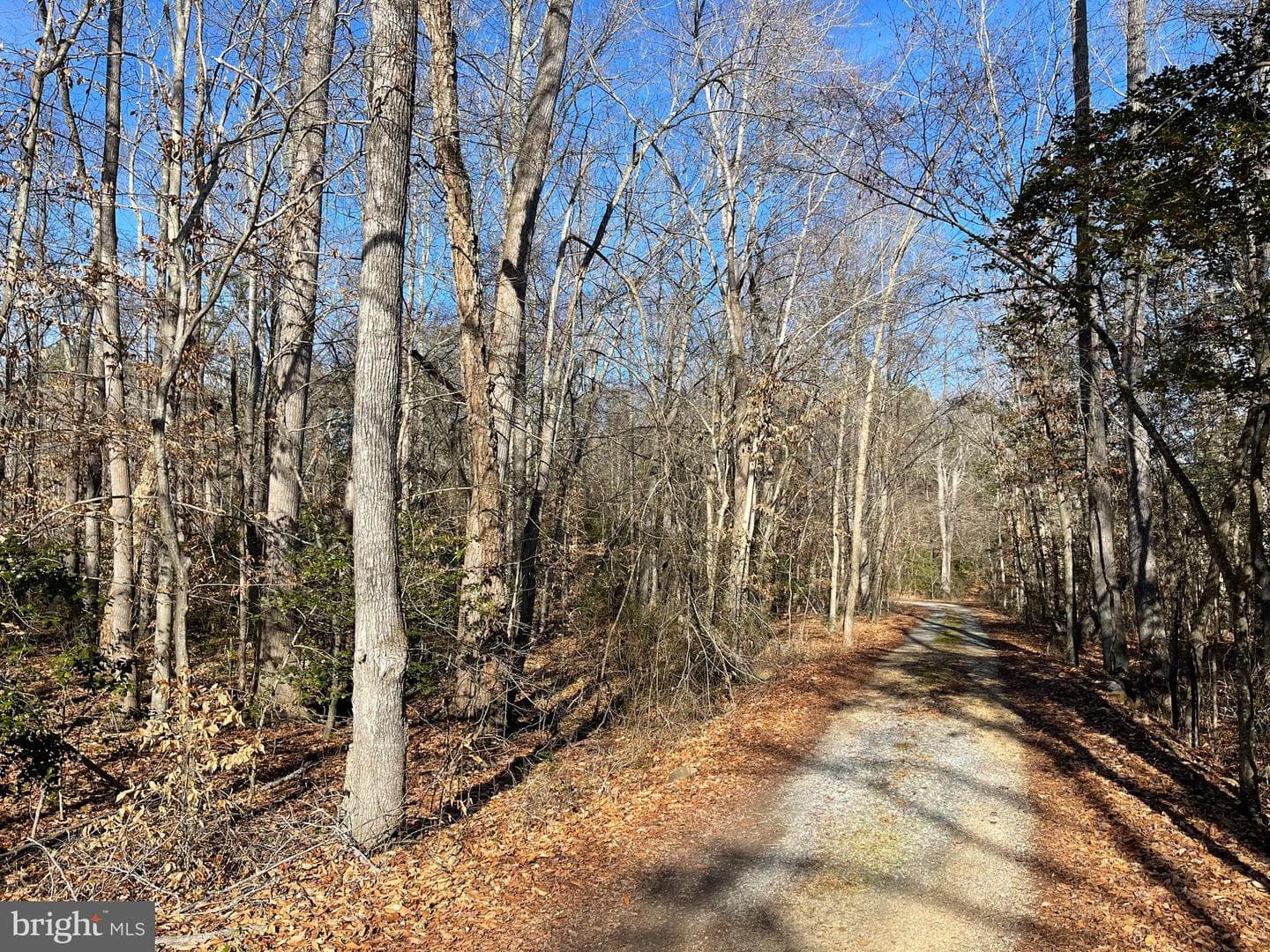 3275 Port Tobacco Road photo 9