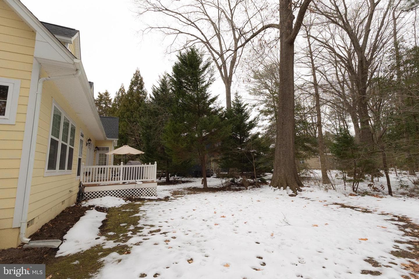 11547 Wollaston Circle photo 49