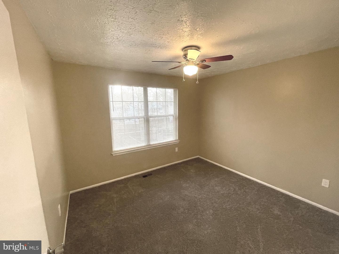 4838 Meadowlark Lane photo 18