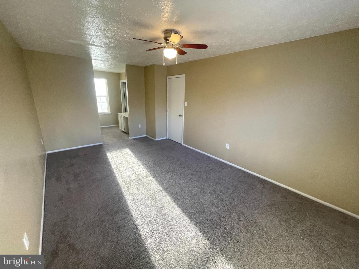 4838 Meadowlark Lane photo 8