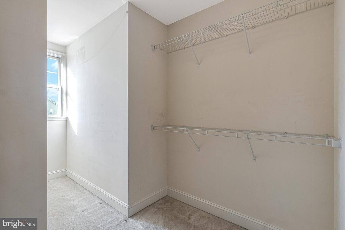 3029 Dahoon Court photo 31