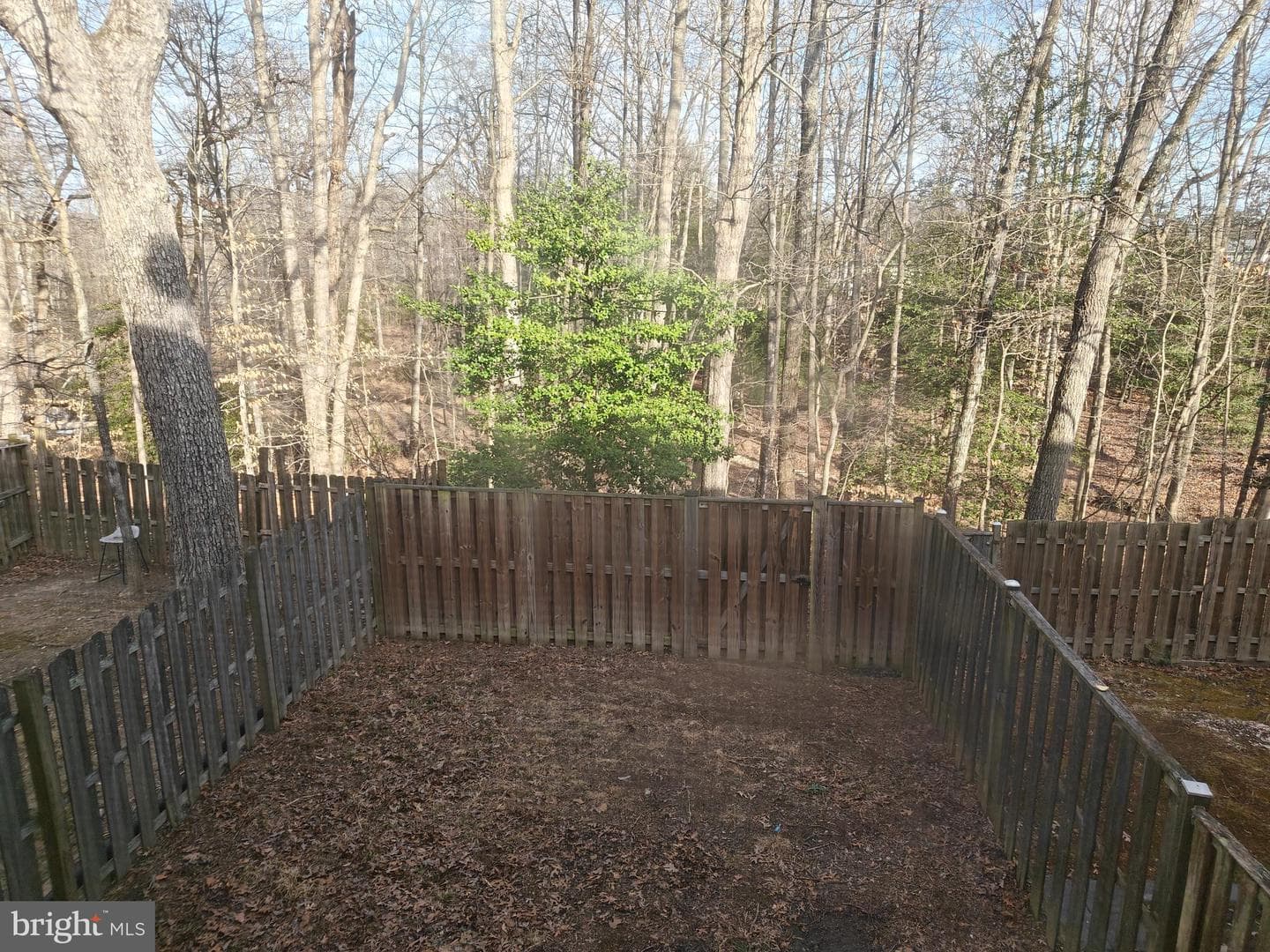 4557 Grouse Place photo 28