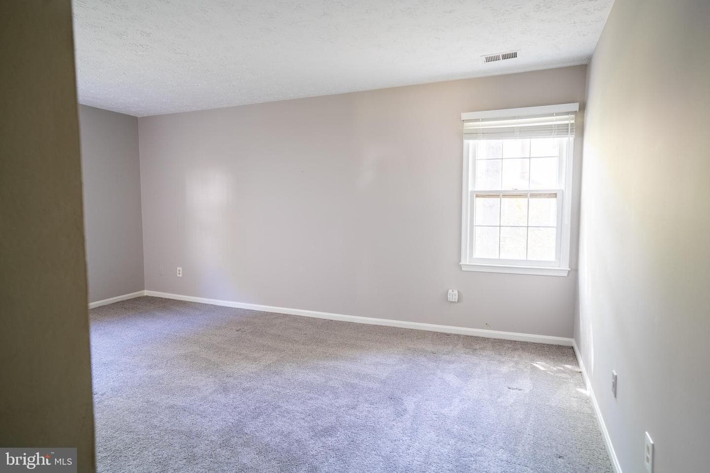 3539 Smokethorn Court photo 24