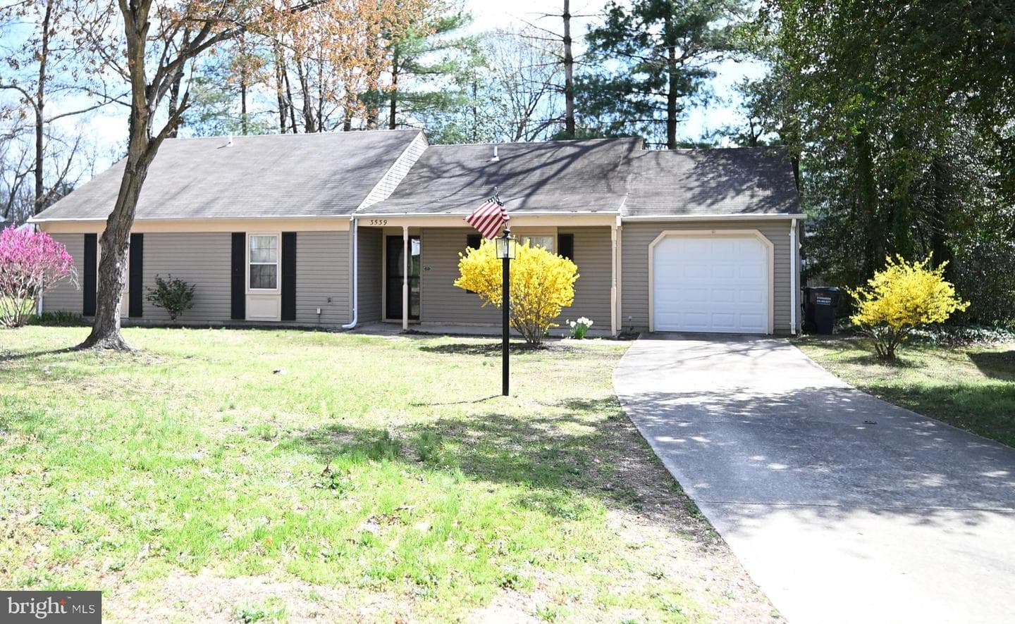 3539 Smokethorn Court photo 32