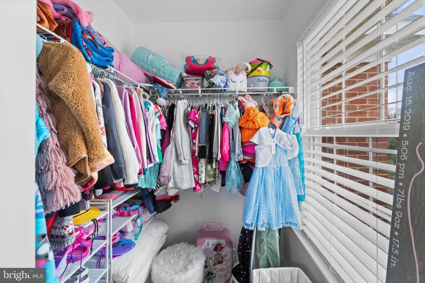 5927 Preswicke Lane photo 43