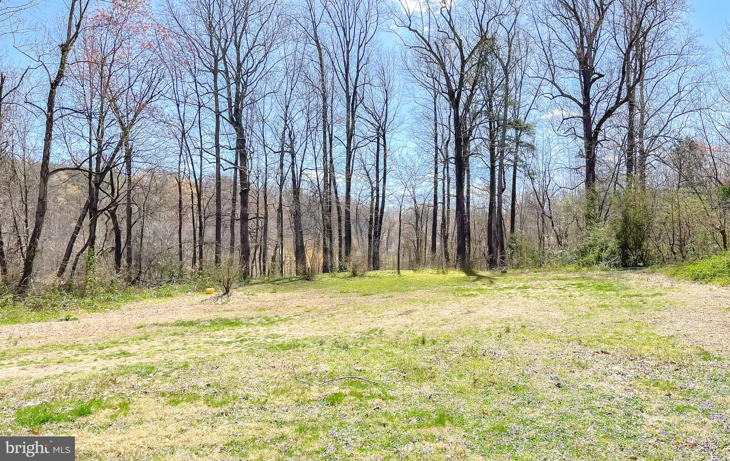 10345 Carmel Drive photo 45