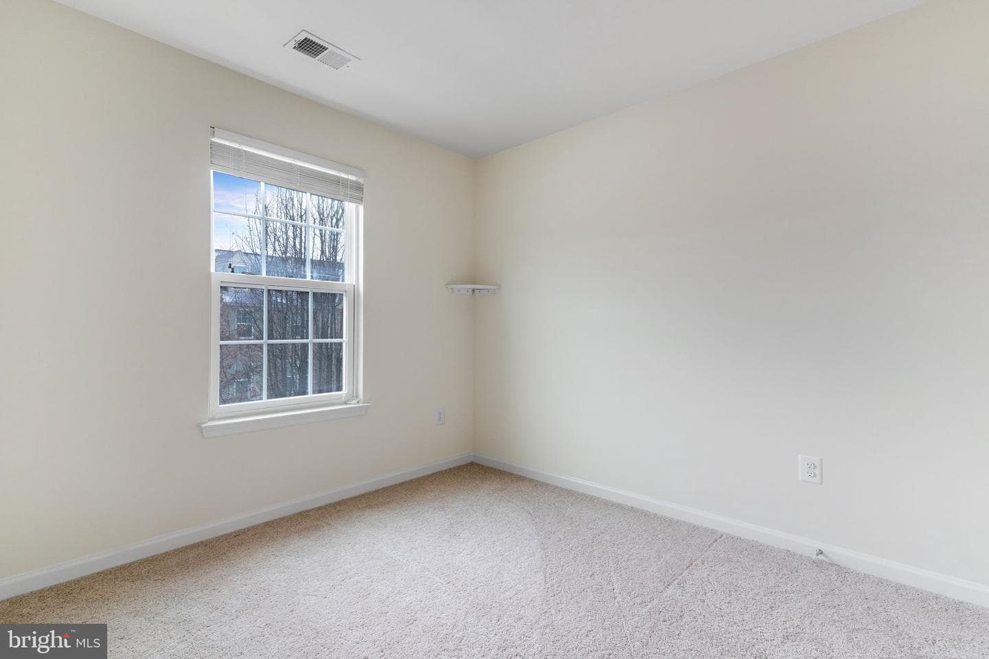 5538 Peanuts Lane photo 21
