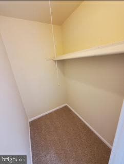 5123 Shawe Place #4-M photo 20