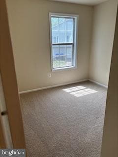 5123 Shawe Place #4-M photo 7