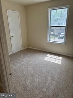 5123 Shawe Place #4-M photo 8