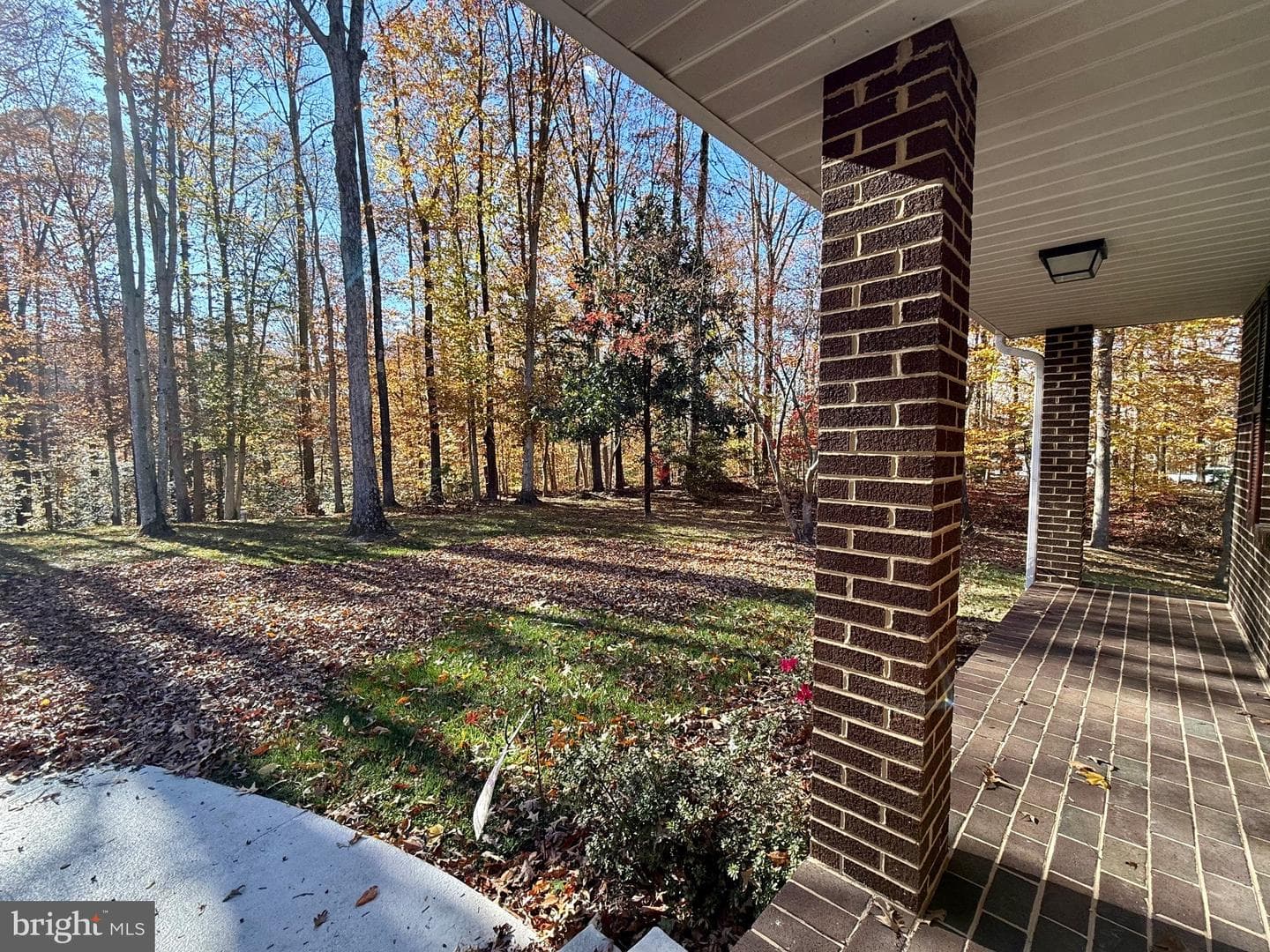 14750 Pilea Place photo 4