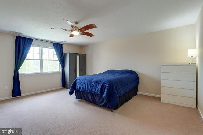 2711 Cotoneaster Court photo 8
