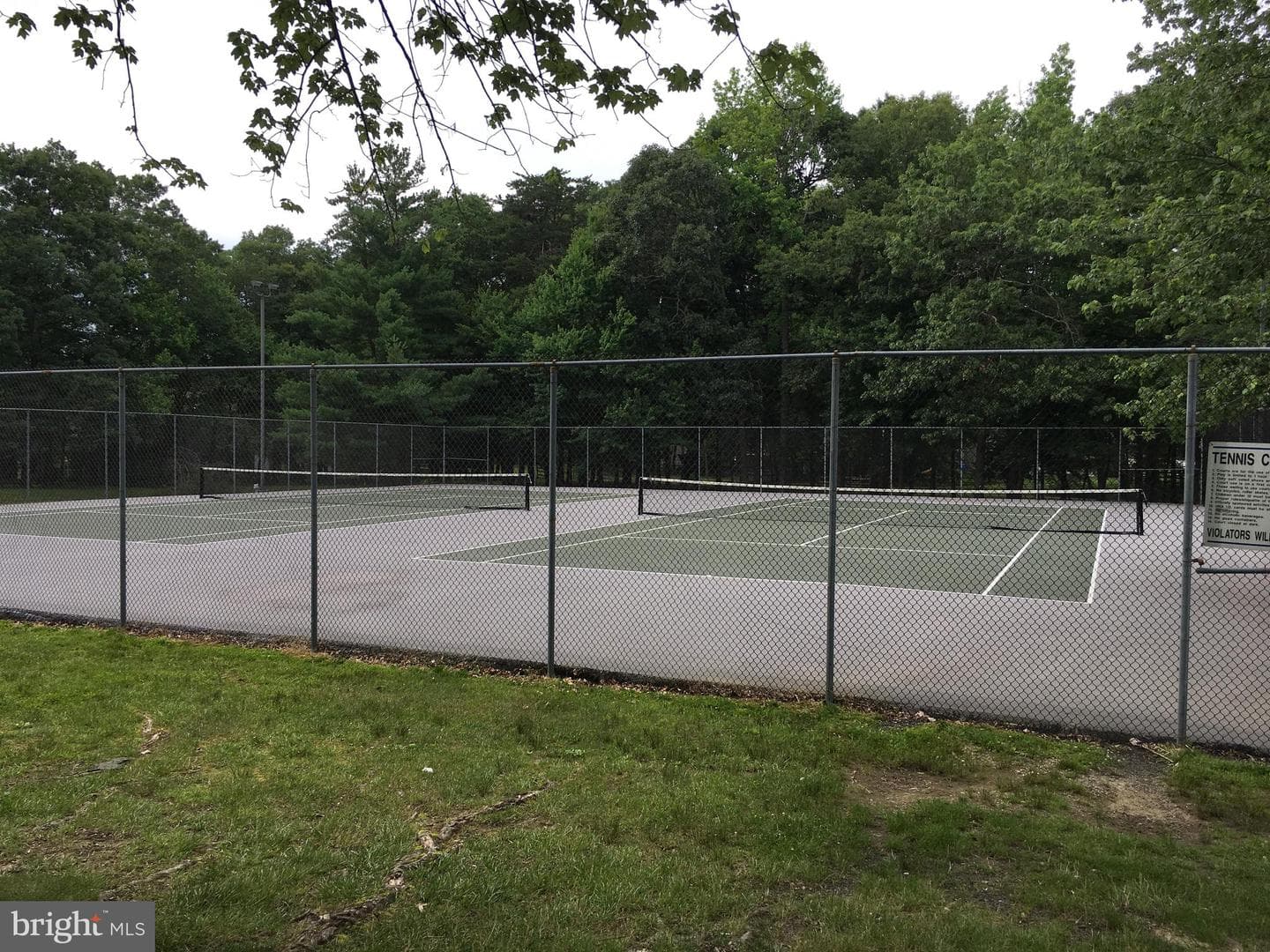 6603 Cottontail Court photo 49