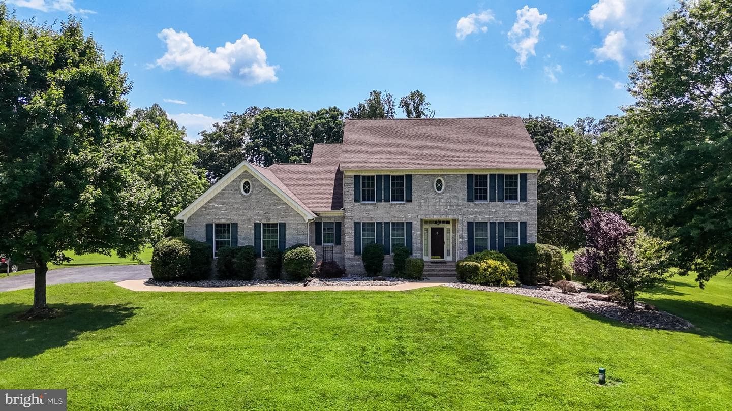 11803 Adrian Lane photo 4