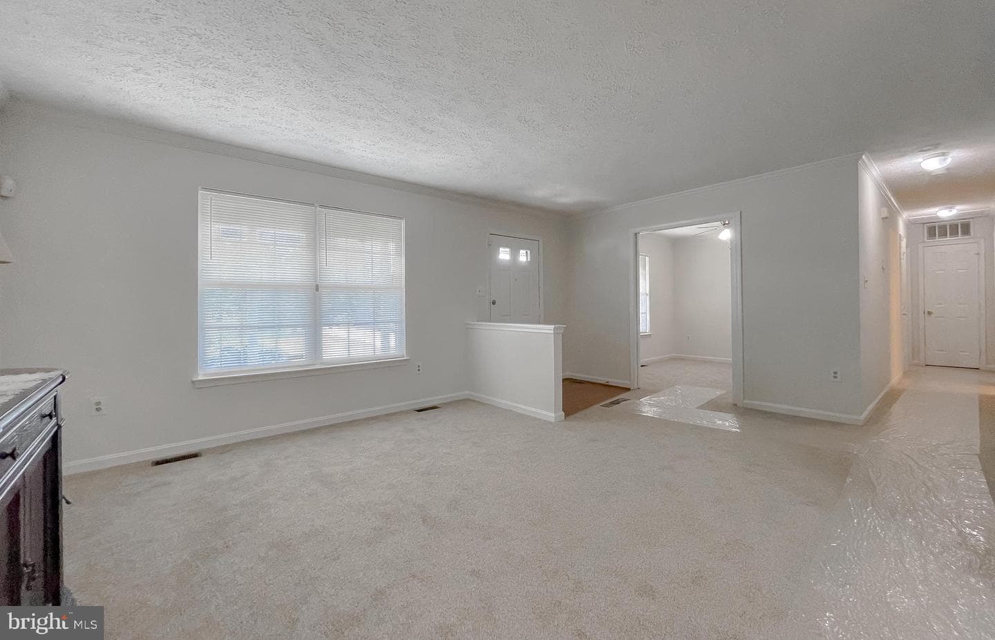 2111 Country Pines Court photo 5