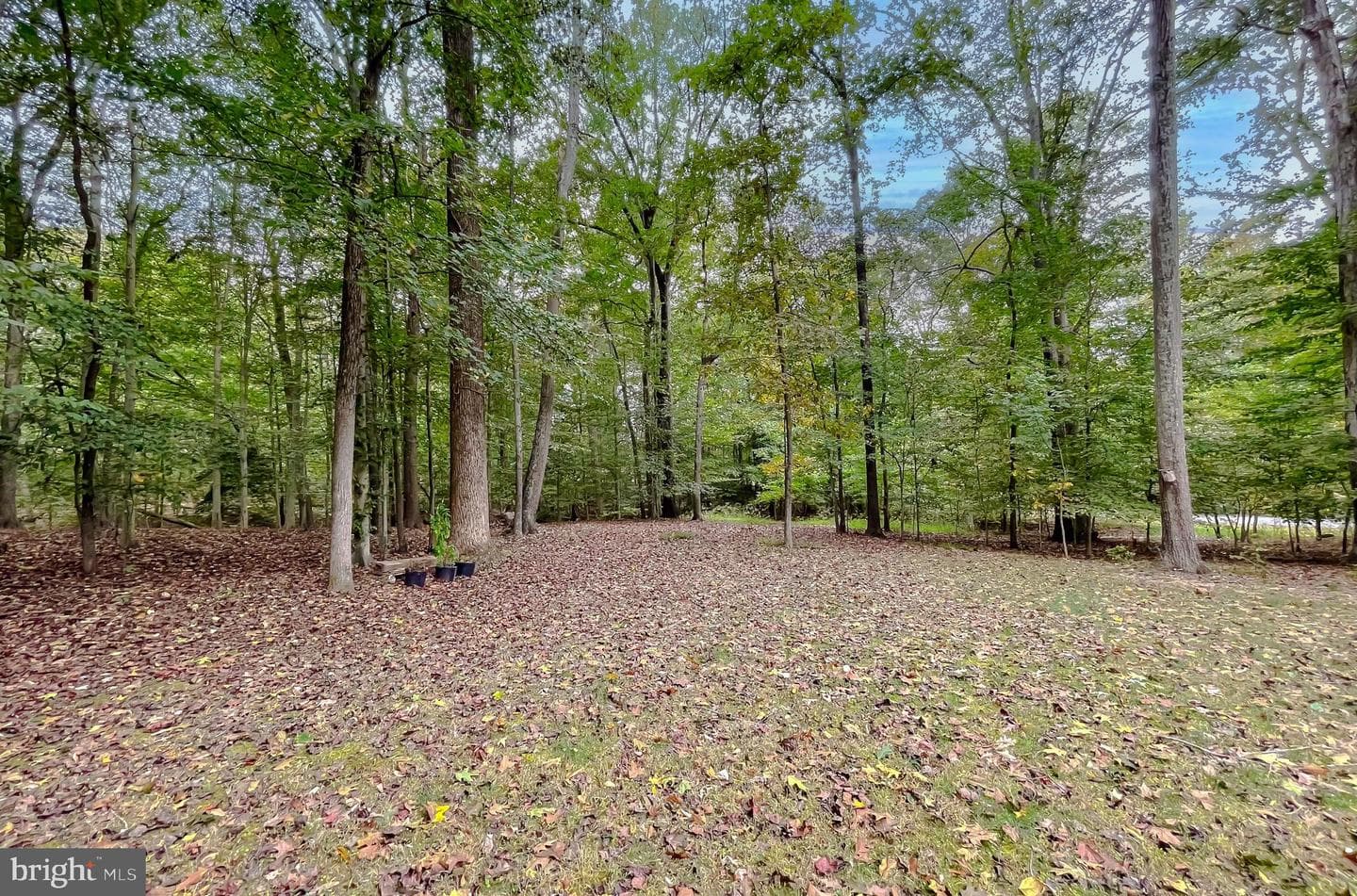9275 Crescent Lane photo 76