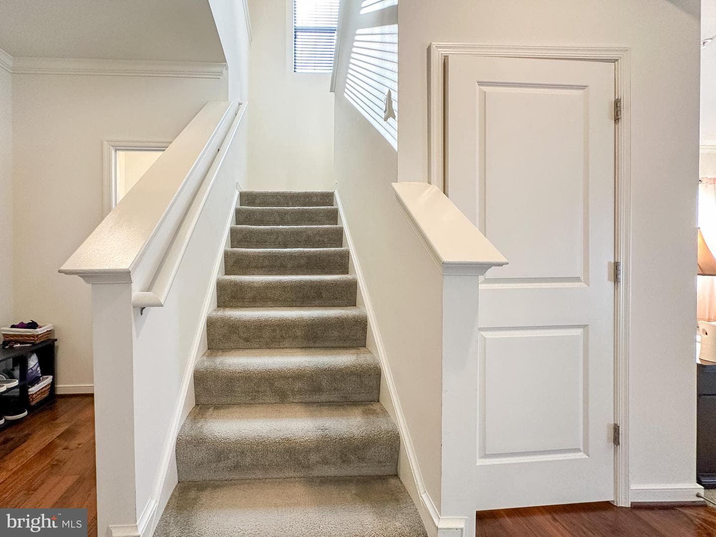 9863 Mannheim Ln photo 17