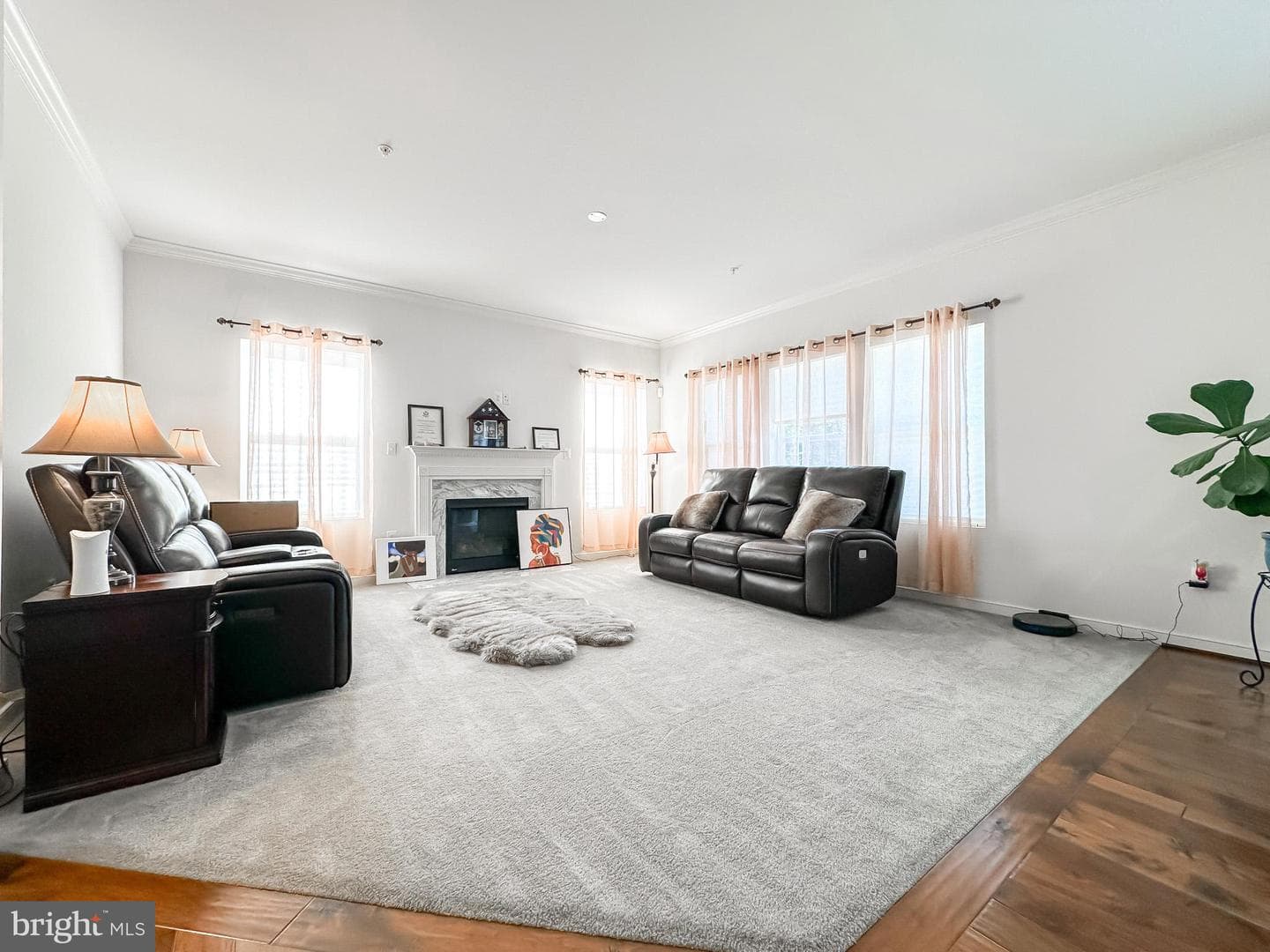9863 Mannheim Ln photo 9